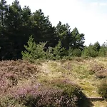 Thadesvej Iv * Romo