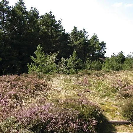 Thadesvej Romo Iv * Toftum (Syddanmark)